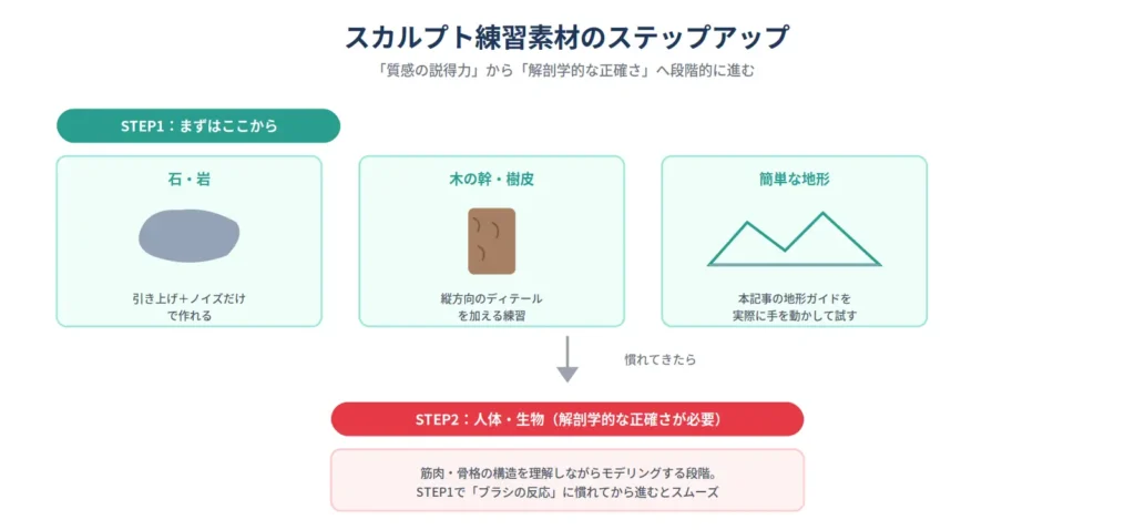 石・木の幹・簡単な地形から人体・生物の解剖学的なモデリングへ段階的にステップアップする練習素材の図